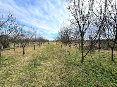 Casa cu 3 camere in Berindan | Teren 1.850 mp, aproape de oras - foto 17