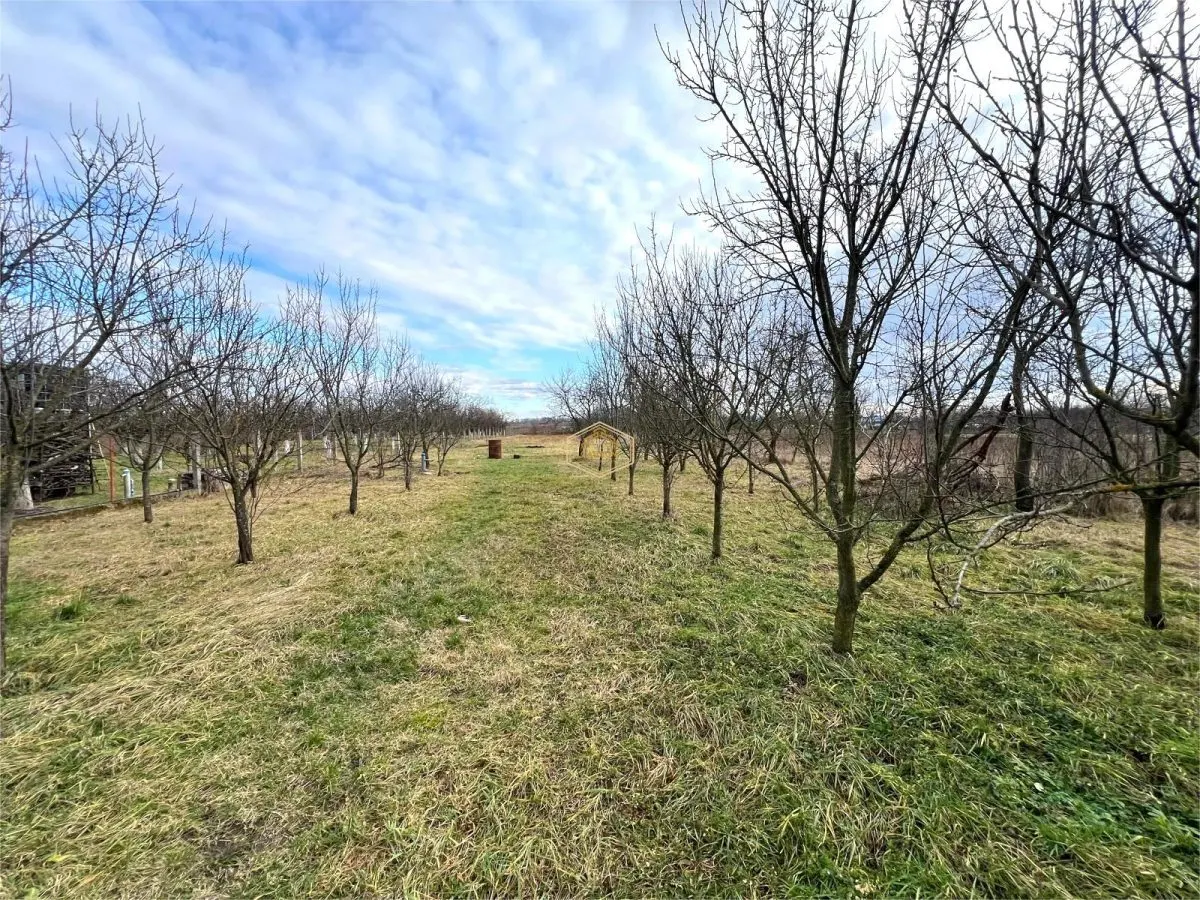 Casa cu 3 camere in Berindan | Teren 1.850 mp, aproape de oras - foto 17