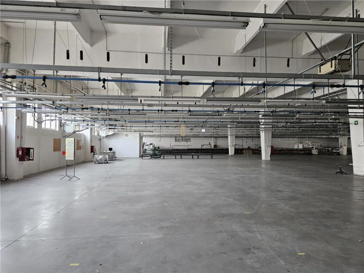 Spatiu Industrial - 2000 mp - Productie - Depozitare - Office - foto 4