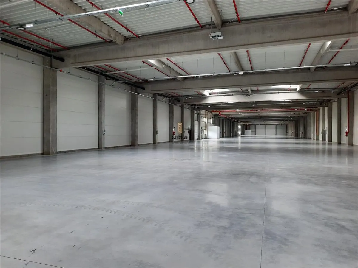 Spatiu Industrial - 2500  mp - Productie - Depozitare - foto 9
