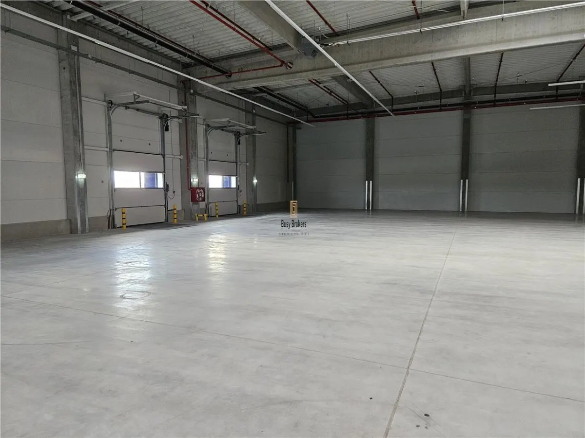 Spatiu Industrial - 3500 mp - Productie - Depozitare - Distributie - foto 9