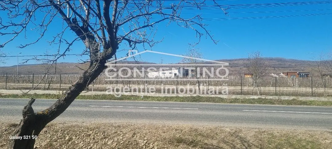 Se vinde imobil cu teren 3700 mp in com Merei - foto 3
