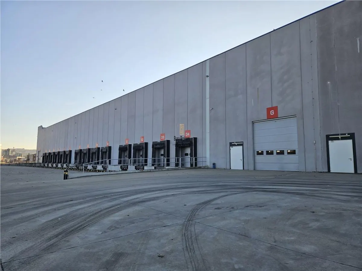 Spatii Industriale - 10000 mp - Logistica - Productie - Depozitare - Distributie - foto 11