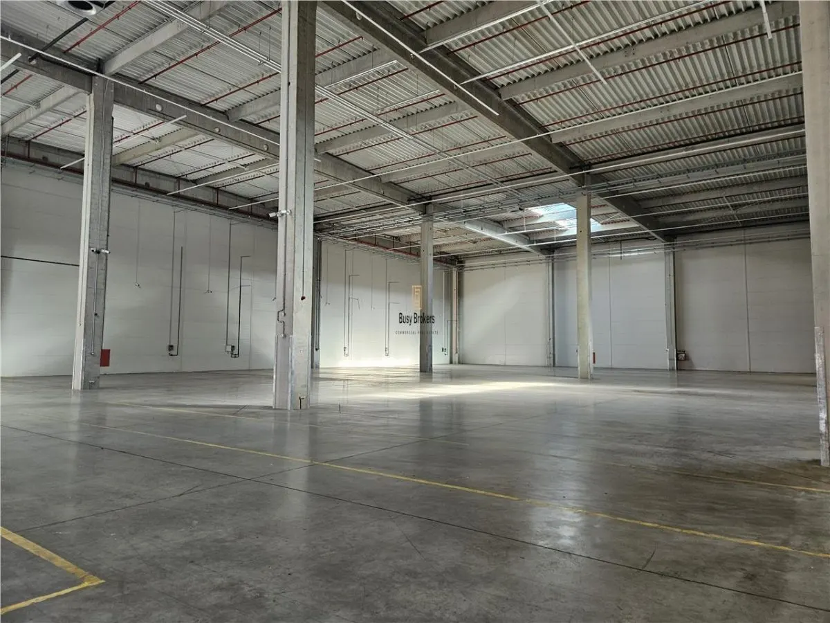 Spatiu Industrial - 3500 mp - Logistica - Productie - Depozitare - Distributie - foto 3