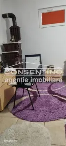VILA P+M  , sata Spataru , Com Costesti - foto 11