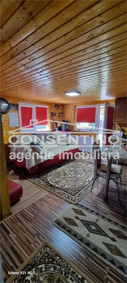 VILA P+M  , sata Spataru , Com Costesti - foto 9