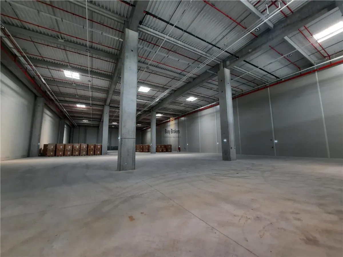 Spatii Industriale - 8000 mp - Logistica - Productie - Depozitare - foto 4