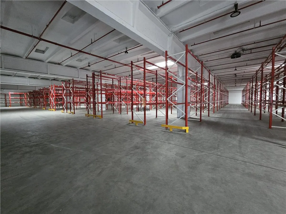 Spatiu Industrial - 3500 mp - Logistica - Productie - Depozitare - foto 3