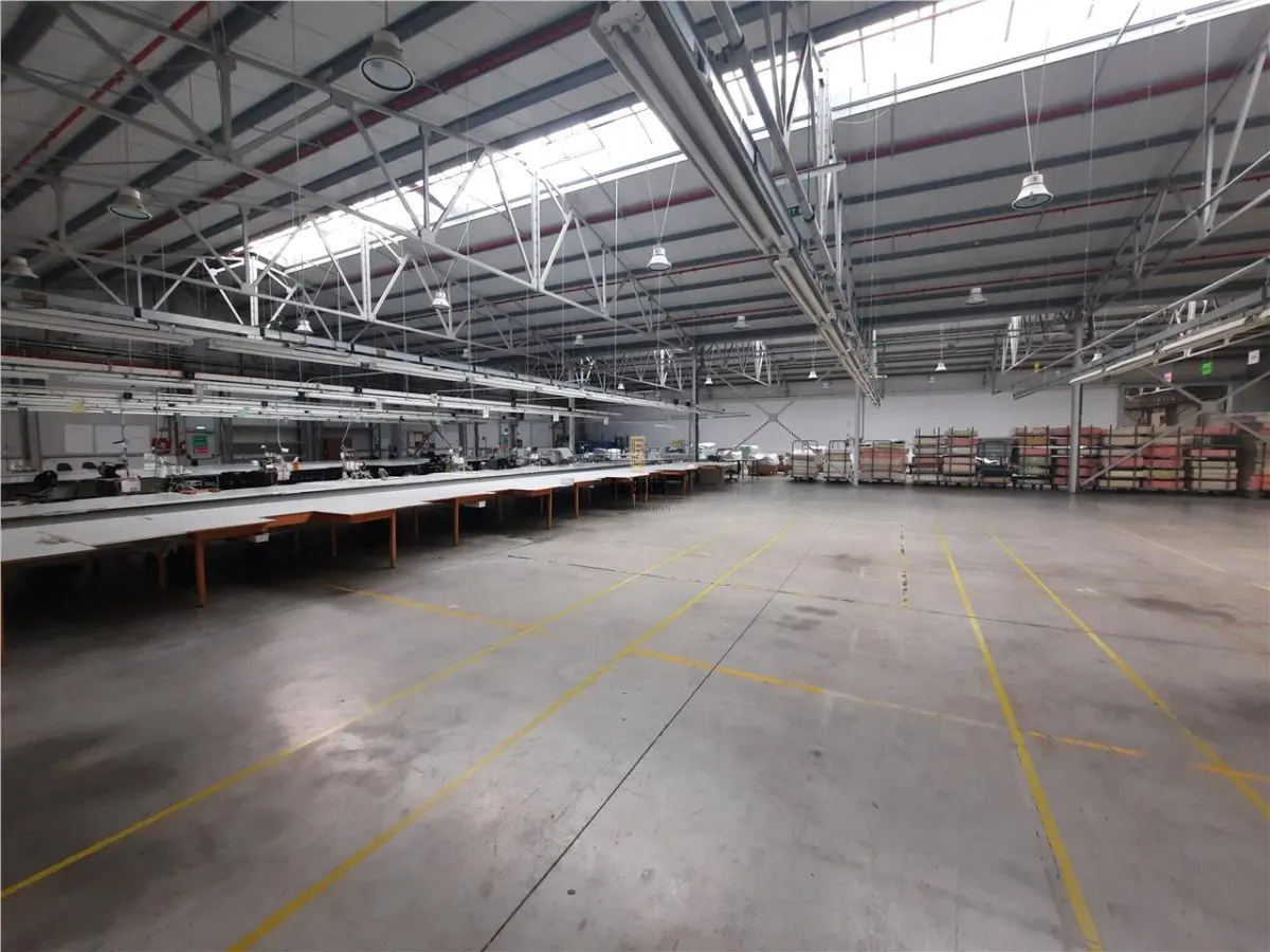 Spatiu Industrial - 6500 mp - Productie - Depozitare - foto 12
