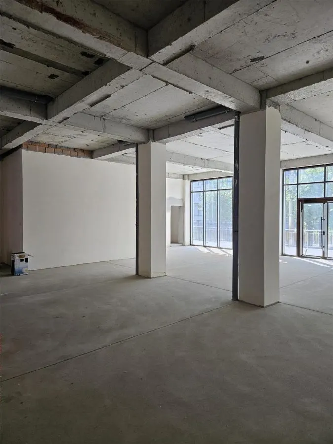 Spatiu Comercial - 200 mp - Balanta - Clinica Medicala - Showroom - Comert - Servicii - foto 3
