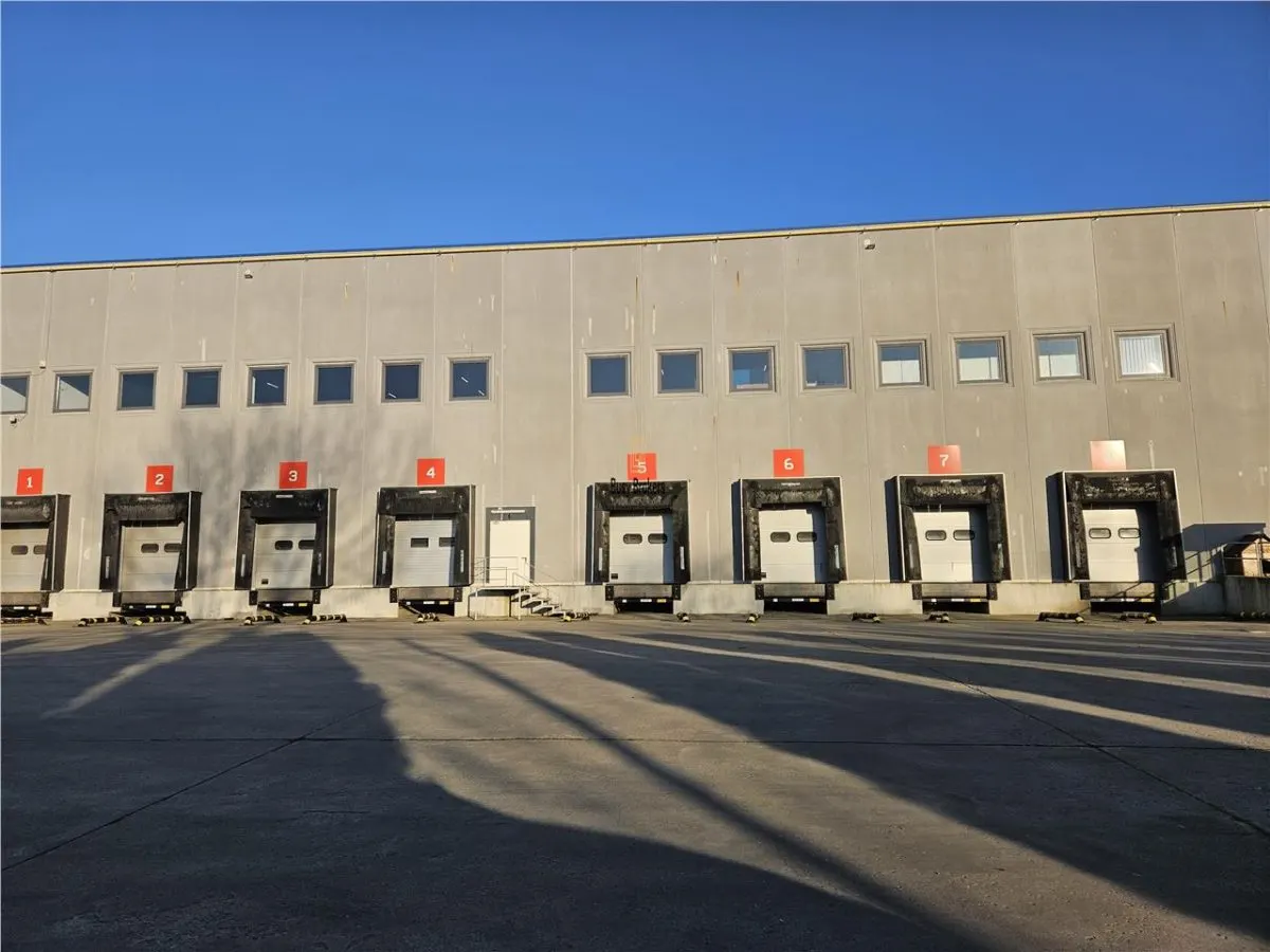 Spatiu Industrial - 5000 mp - Logistica - Depozitare - Distributie - foto 15