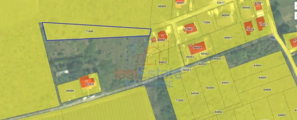 Ocazie! Visan TEREN 1616mp intravilan lot pt constructie casa - foto 3