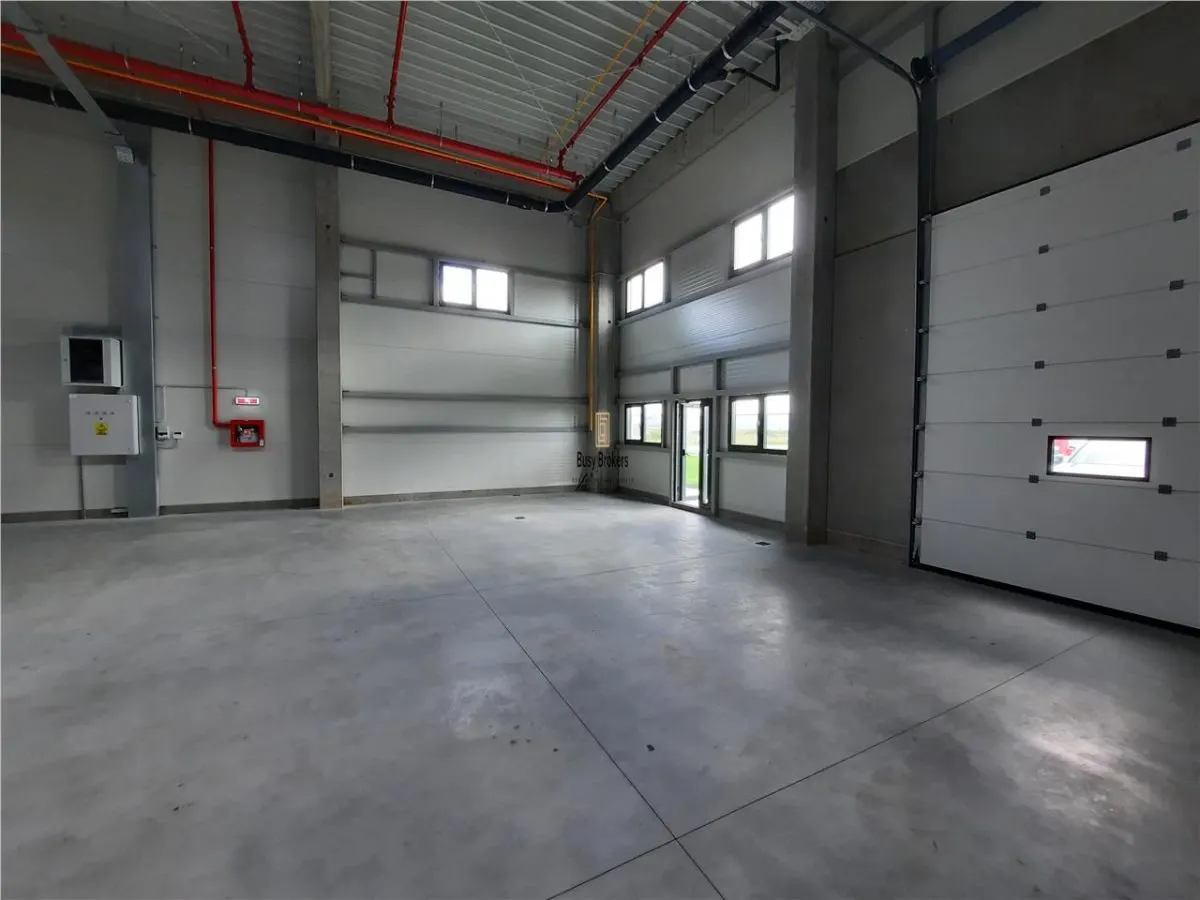 Spatiu Industrial - 4500 mp - Logistica - Productie - Depozitare - foto 12