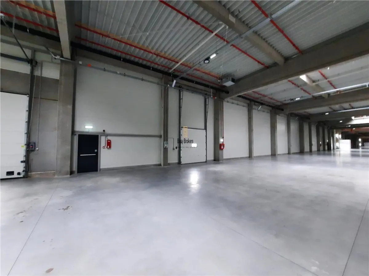 Spatiu Industrial - 4500 mp - Logistica - Productie - Depozitare - foto 15