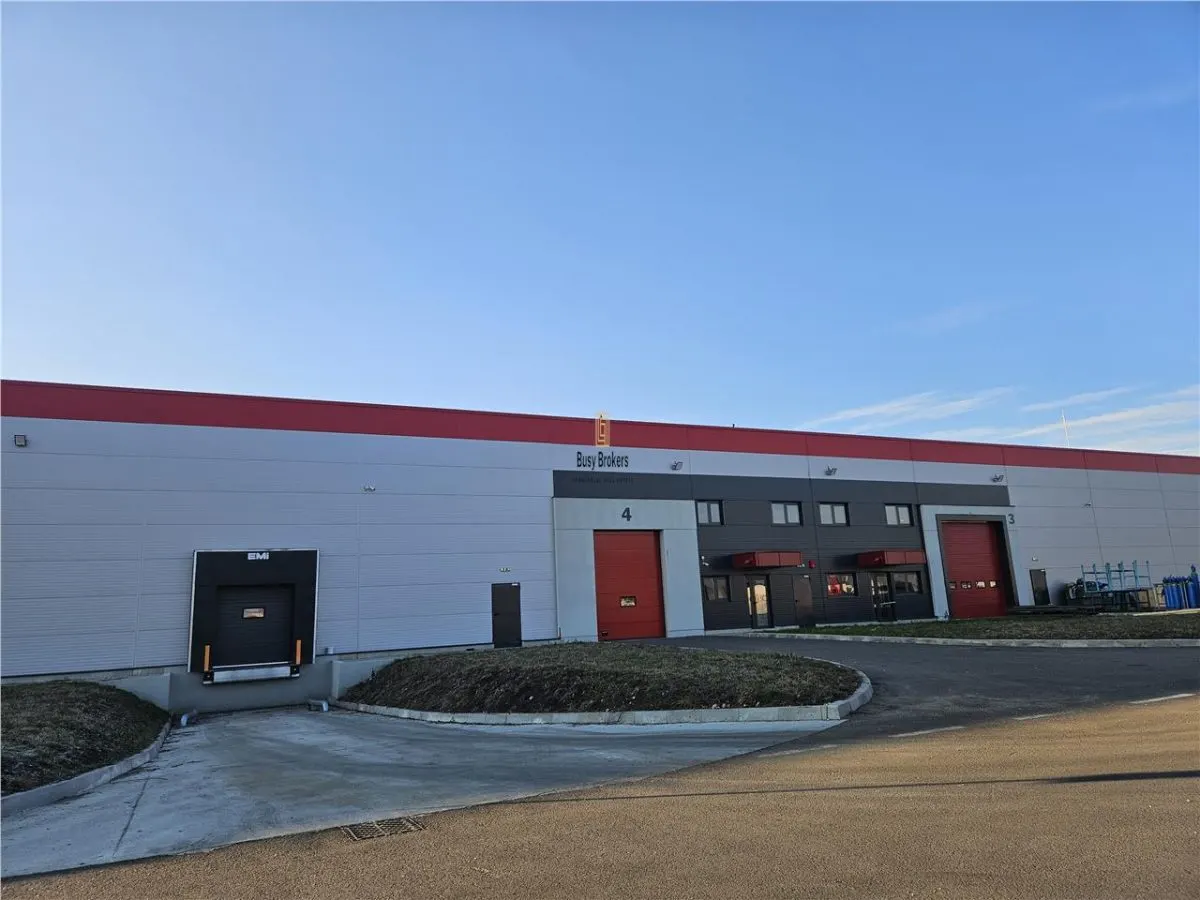Spatiu Industrial - 4500 mp - Logistica - Productie - Depozitare - foto 3