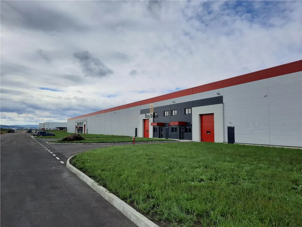 Spatiu Industrial - 4500 mp - Logistica - Productie - Depozitare - foto 8
