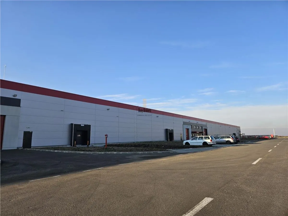 Spatiu Industrial - 4500 mp - Logistica - Productie - Depozitare - foto 10