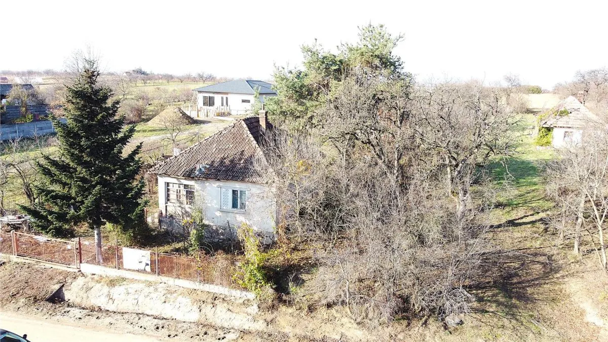 Casa cu 2 camere si teren 4.339 mp | Pozitie excelenta in Viile Satu Mare - foto 2