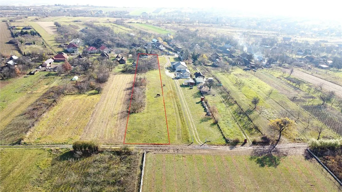 Casa cu 2 camere si teren 4.339 mp | Pozitie excelenta in Viile Satu Mare - foto 5