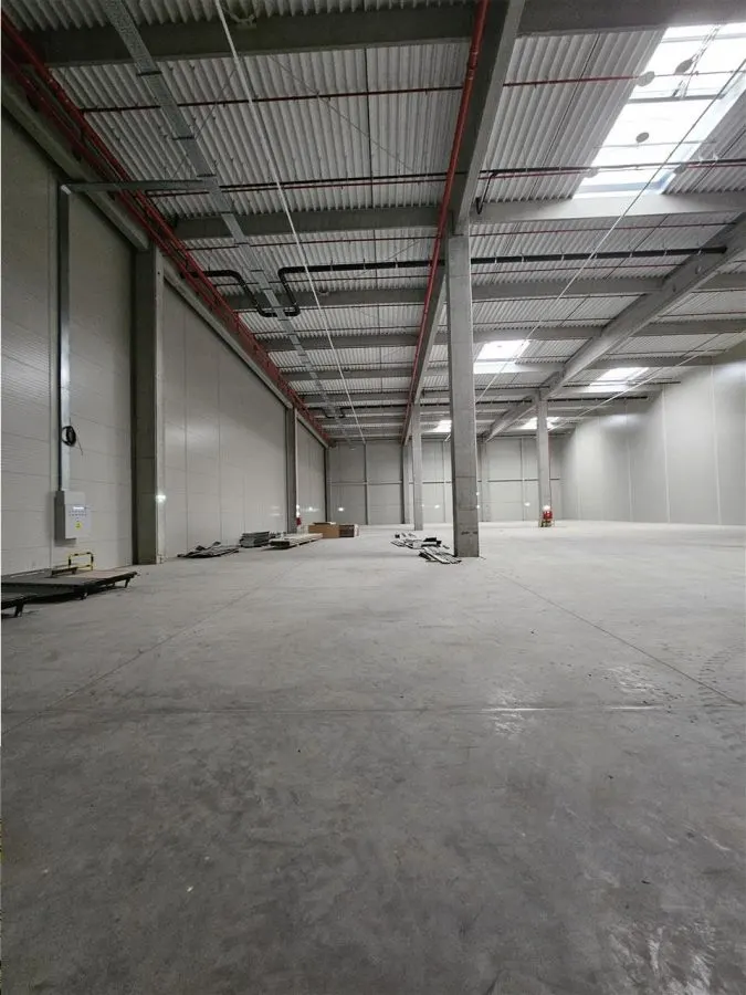 Spatiu Industrial - 4500 mp - Logistica - Productie - Depozitare - Distributie - foto 1