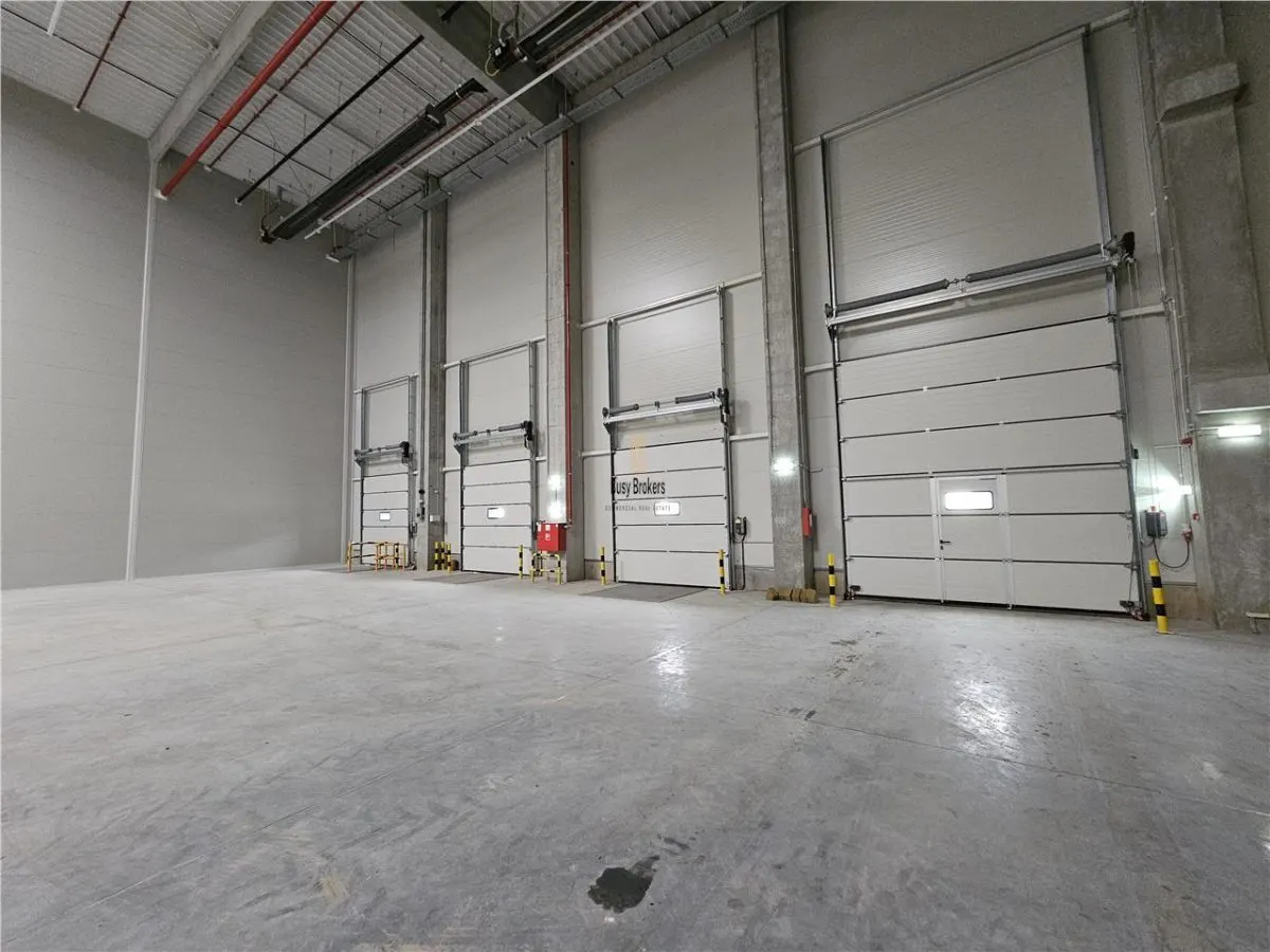 Spatiu Industrial - 3500 mp - Logistica - Productie - Depozitare - Distributie - foto 4