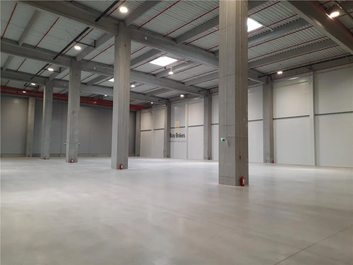 Spatiu Industrial - 5000 mp - Logistica - Productie - Depozitare - Distributie - foto 5