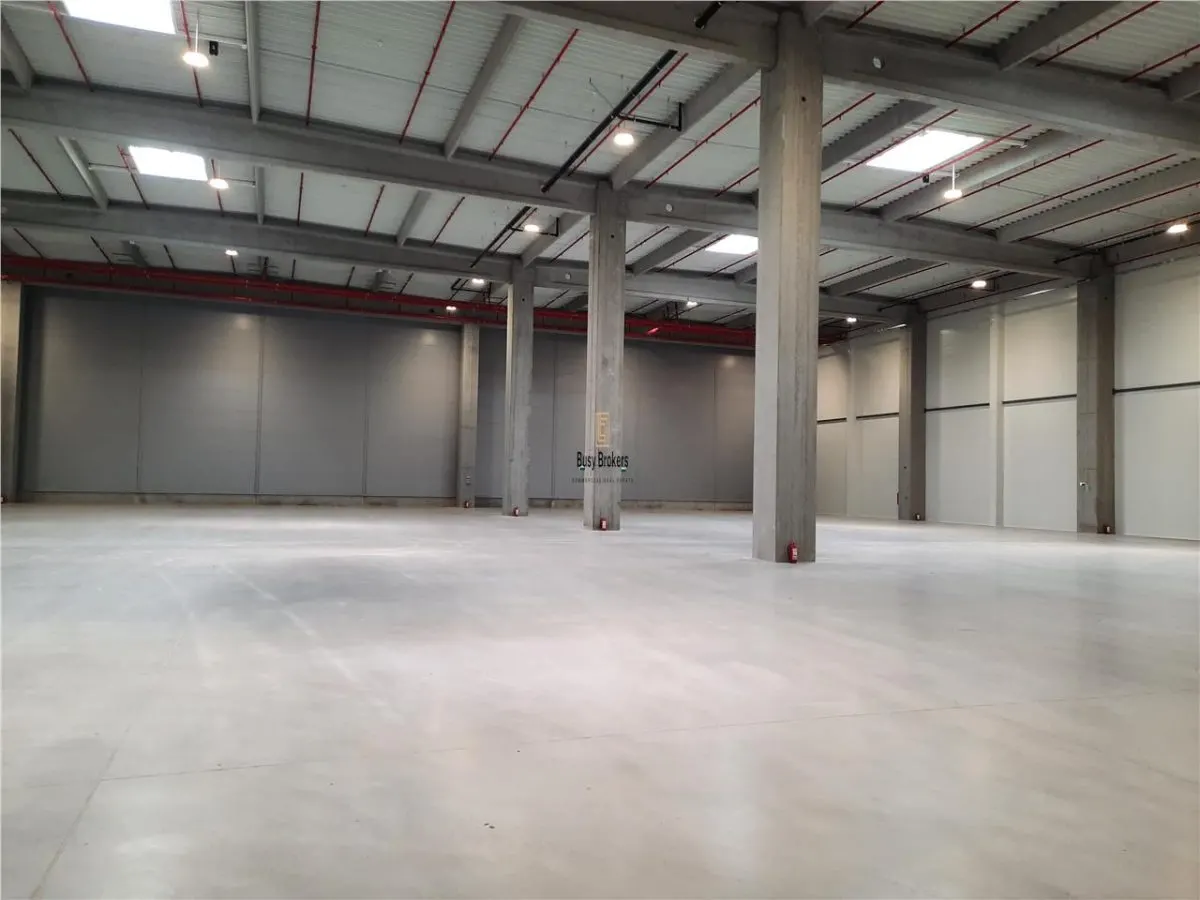 Spatiu Industrial - 5000 mp - Logistica - Productie - Depozitare - Distributie - foto 6