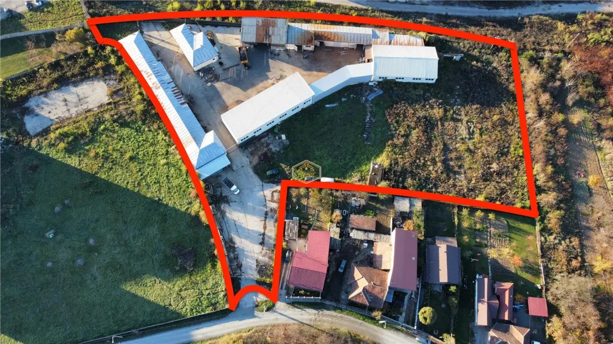 VIDEO | 14 Mai | Hale + Cladiri administrative | Teren intravilan - 9.727 mp | Productie, Sediu firma, Depozitare - foto 23
