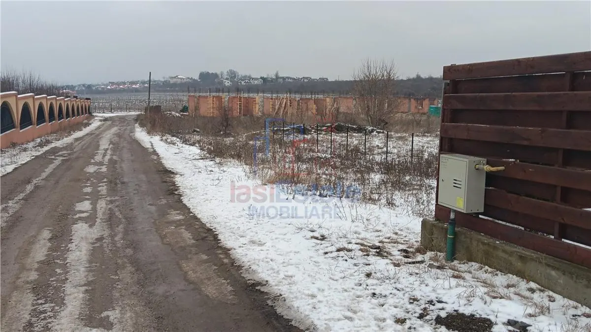 Visan str Dealul Craitelor TEREN 6383mp  si 4217mp utilitati  si transport in comun - foto 8