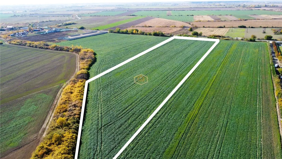 VIDEO | Teren 26.600 mp in Lazuri | 92 m front la strada Principala - foto 4