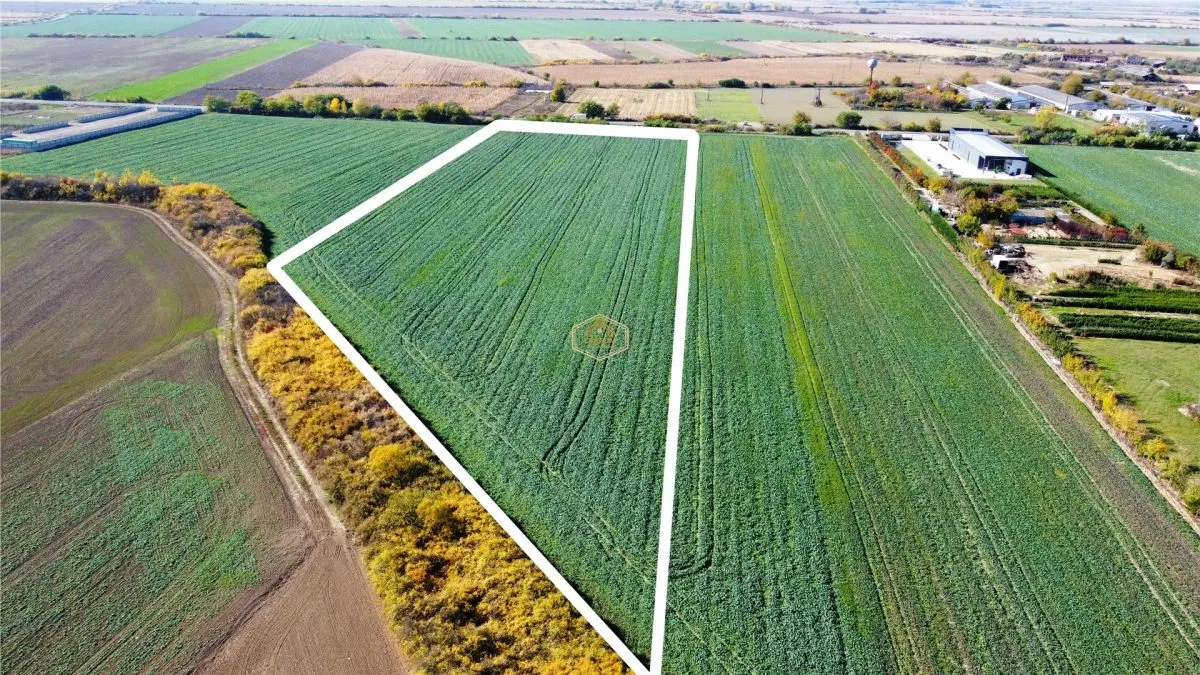 VIDEO | Teren 26.600 mp in Lazuri | 92 m front la strada Principala - foto 5