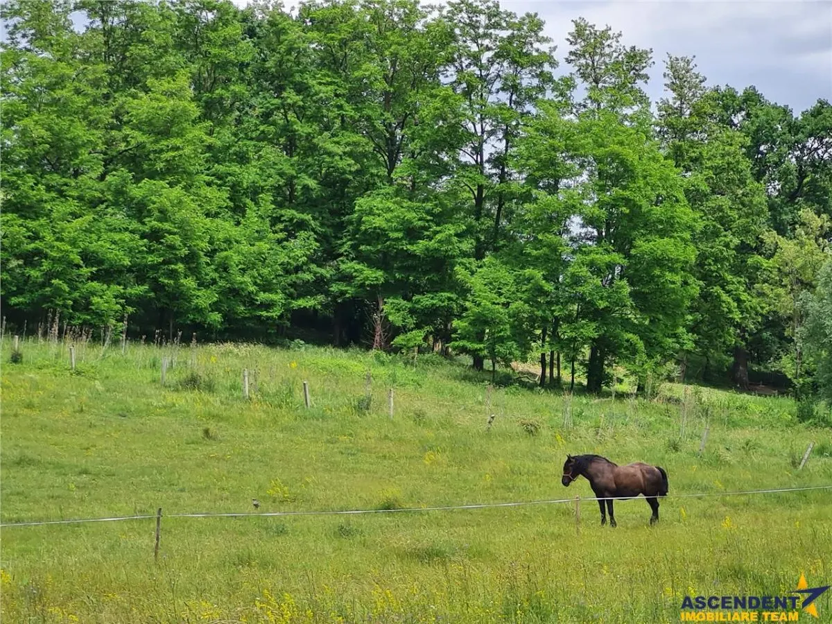 Rafinament in cartier linistit, pe 30.000 mp teren paradis, facilitati Premium - foto 14