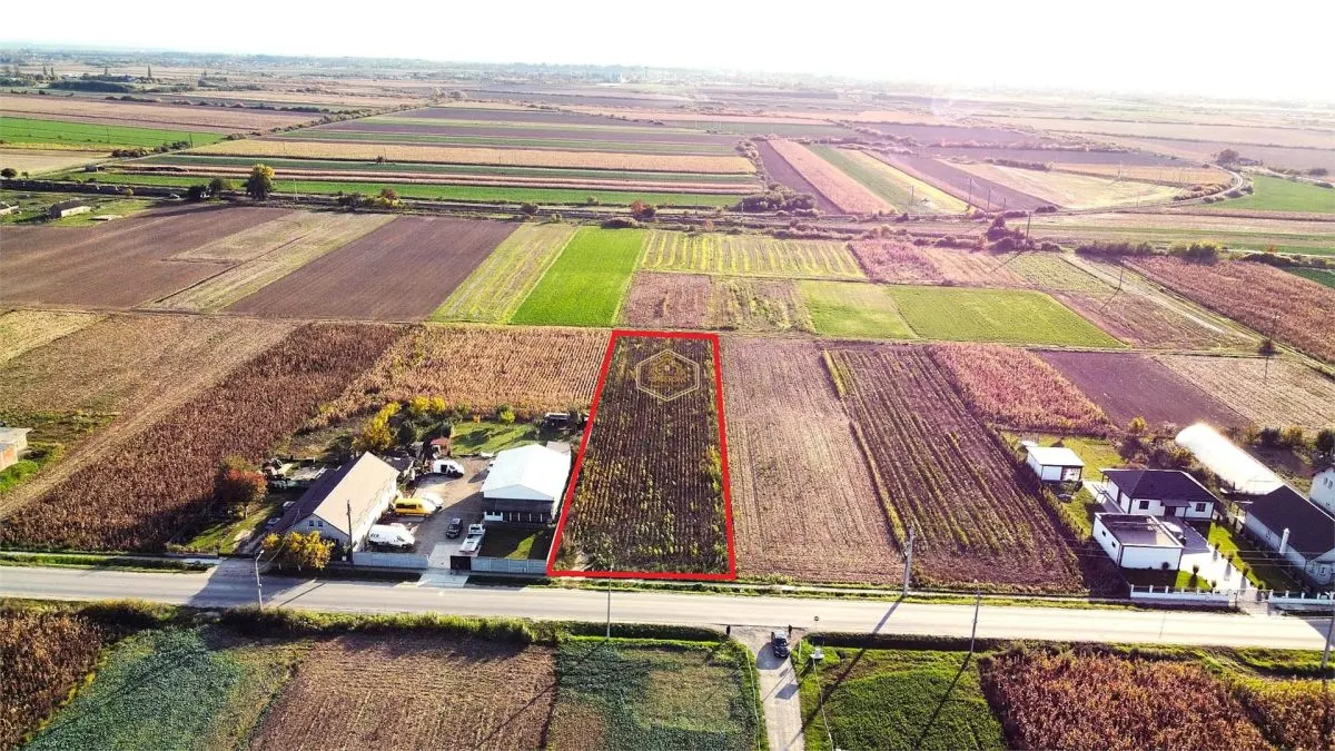 Video | Teren intravilan de vanzare – 3000 mp, Botiz, str. Sirul Mare, la doar 7 km de centrul Satu Mare - foto 1