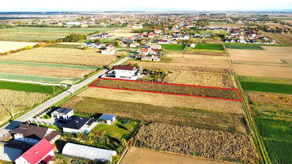Video | Teren intravilan de vanzare – 3000 mp, Botiz, str. Sirul Mare, la doar 7 km de centrul Satu Mare - foto 5