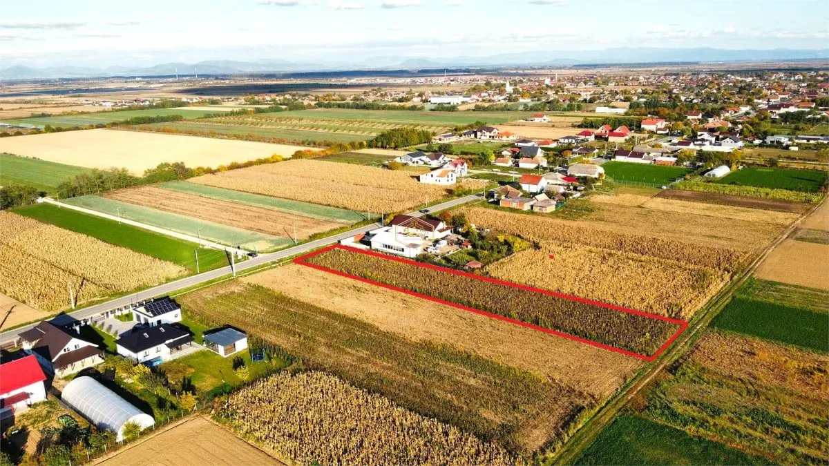 Video | Teren intravilan de vanzare – 3000 mp, Botiz, str. Sirul Mare, la doar 7 km de centrul Satu Mare - foto 6