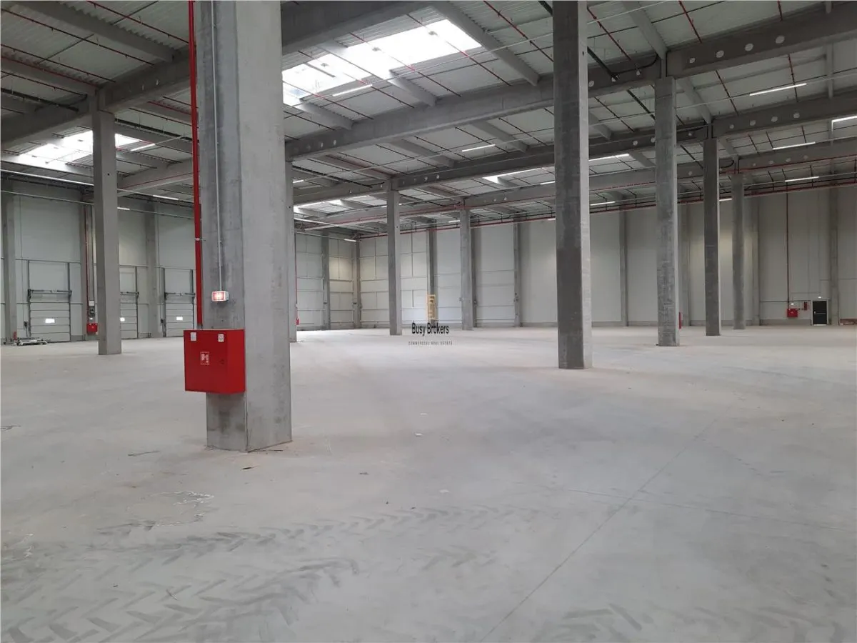 Spatiu Industrial - 2300 mp - Logistica - Productie - Depozitare - Distributie - foto 8
