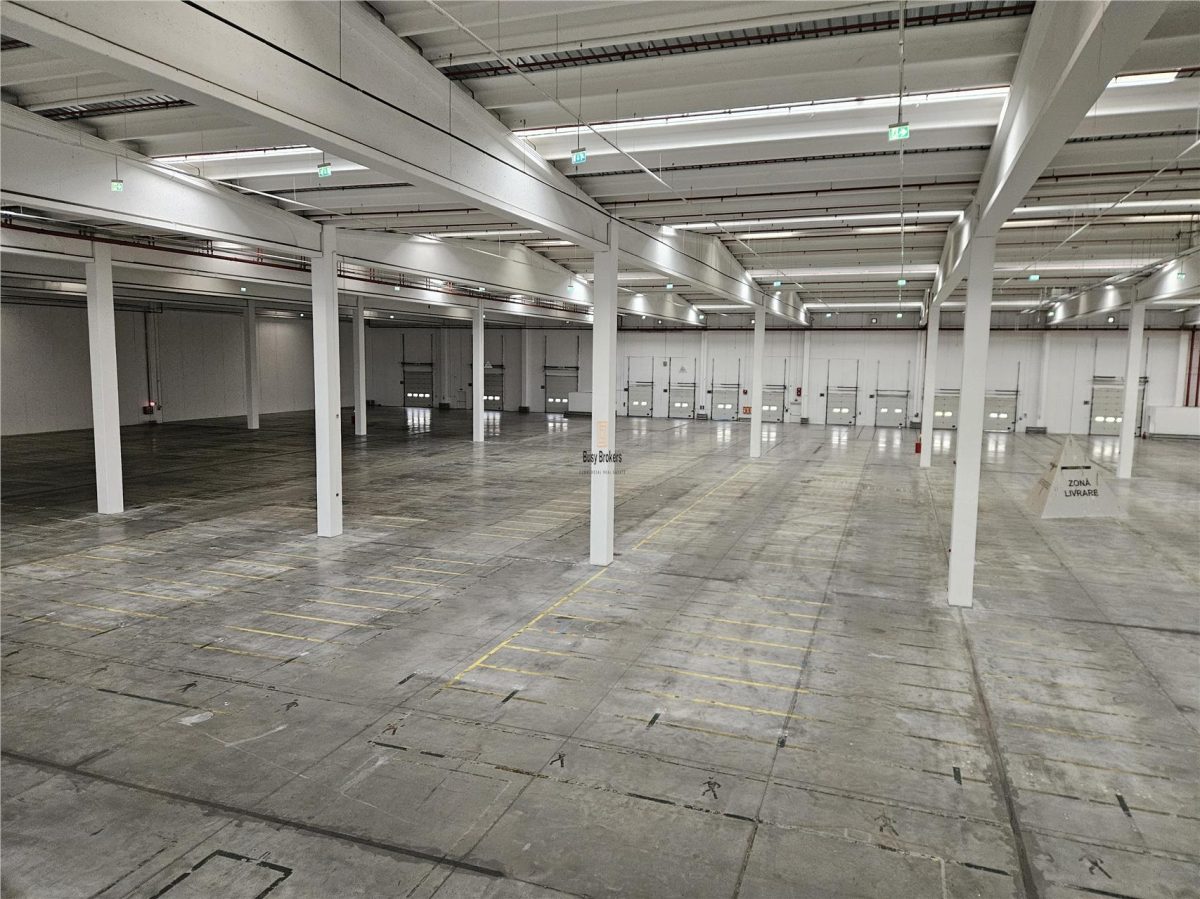Spatiu Industrial - 3000 mp - Logistica - Productie - Depozitare - Distributie - foto 12