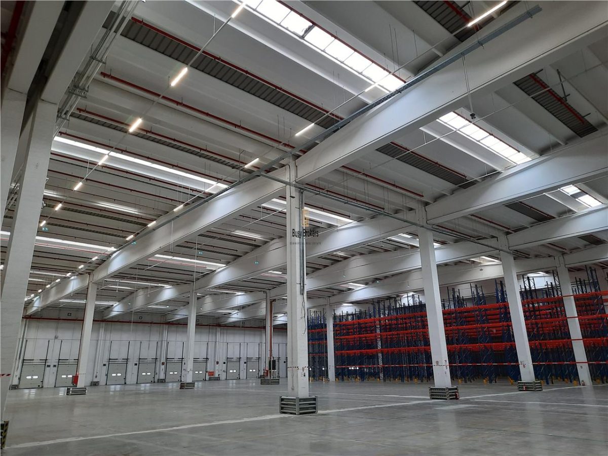 Spatiu Industrial - 3000 mp - Logistica - Productie - Depozitare - Distributie - foto 13