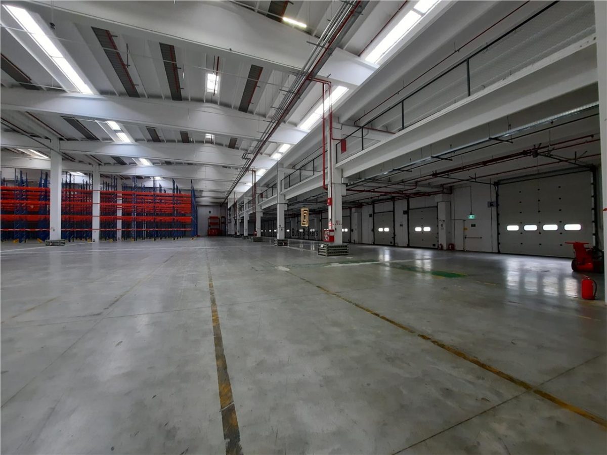 Spatiu Industrial - 3000 mp - Logistica - Productie - Depozitare - Distributie - foto 15