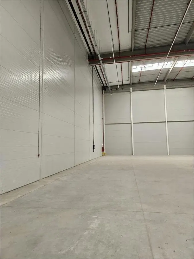 Spatiu Industrial - 1800 mp - Logistica - Productie - Depozitare - Distributie - foto 14