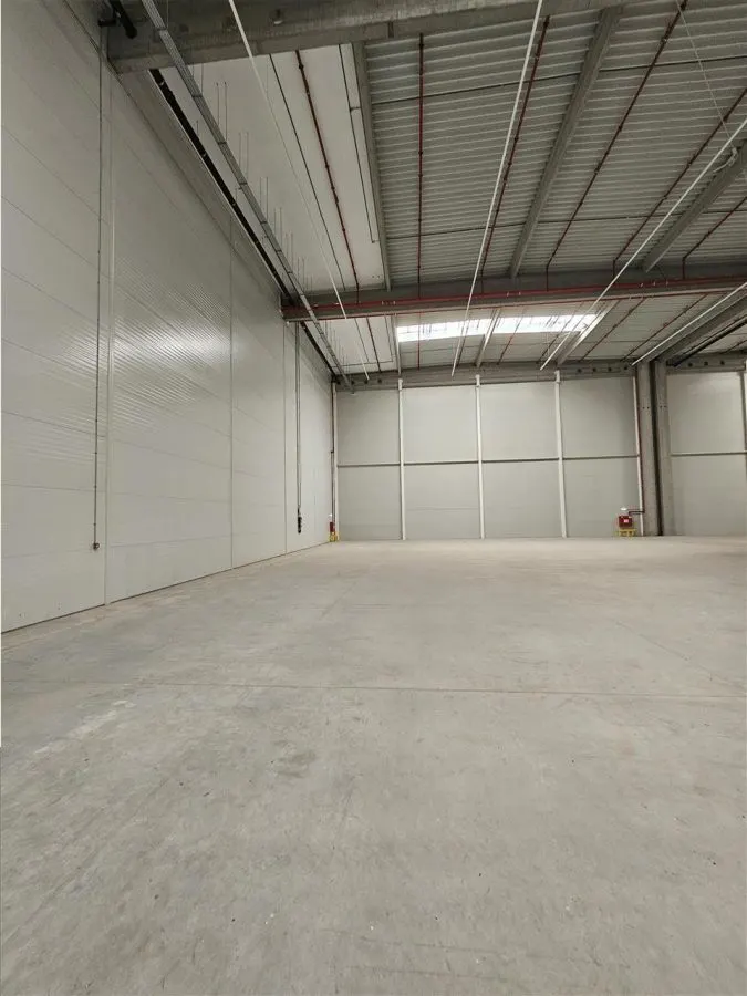 Spatiu Industrial - 1800 mp - Logistica - Productie - Depozitare - Distributie - foto 18