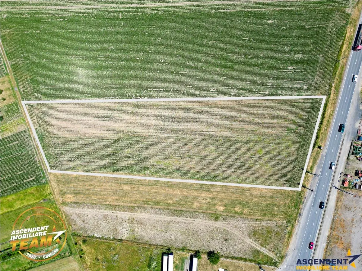 8.400mp, la DN12, cu Certificat Urbanism, teren intravilan, Chichis, Covasna. - foto 5
