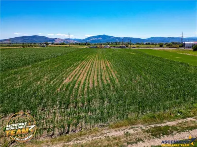 8.400mp, la DN12, cu Certificat Urbanism, teren intravilan, Chichis, Covasna. - foto 6