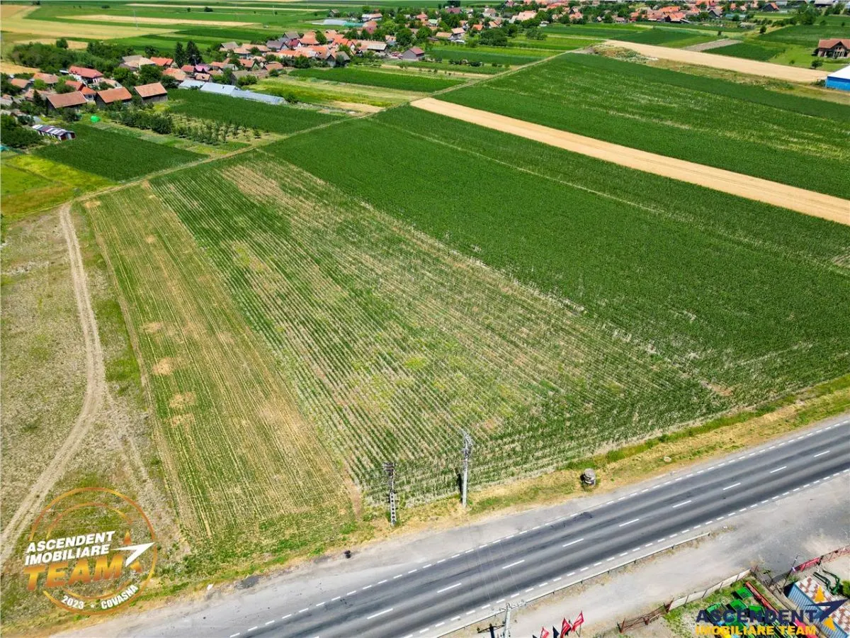 8.400mp, la DN12, cu Certificat Urbanism, teren intravilan, Chichis, Covasna. - foto 7