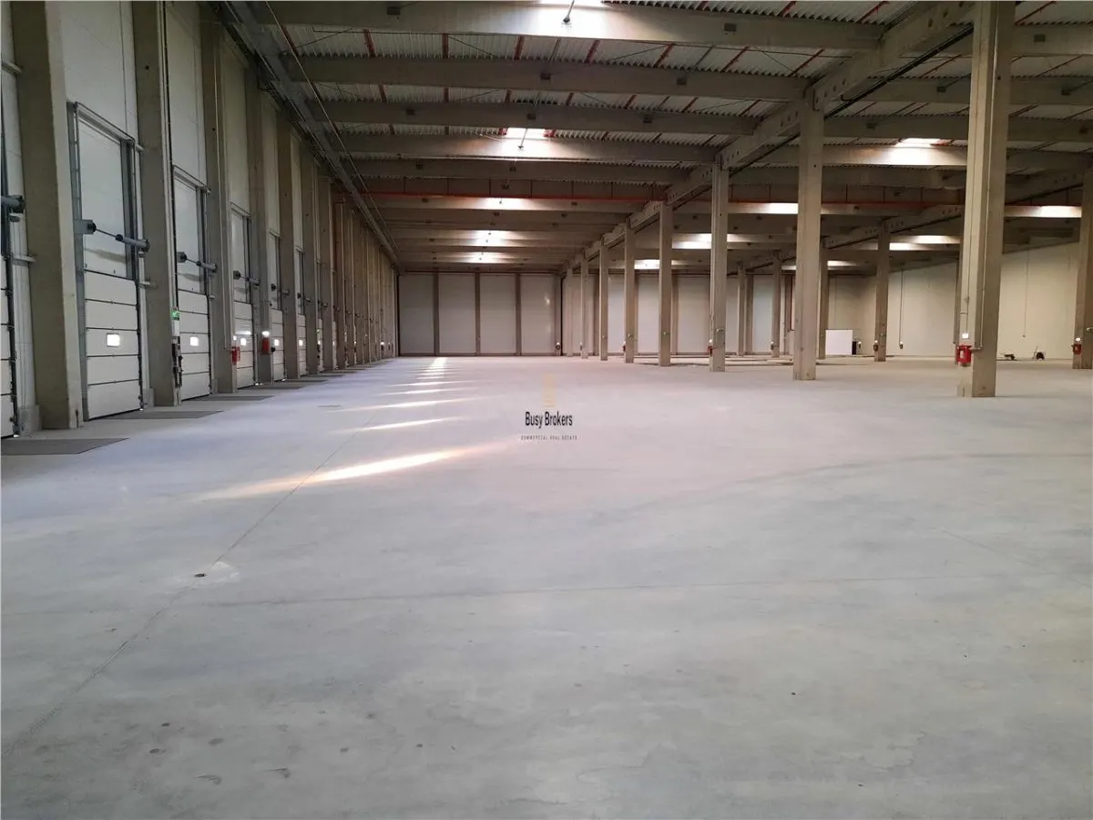 Spatii Industriale - 4500 mp - Logistica - Productie - Depozitare - Distributie - foto 3