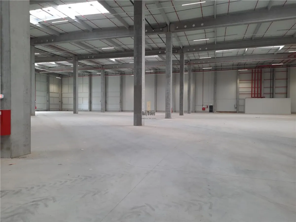 Spatii Industriale - 4500 mp - Logistica - Productie - Depozitare - Distributie - foto 4