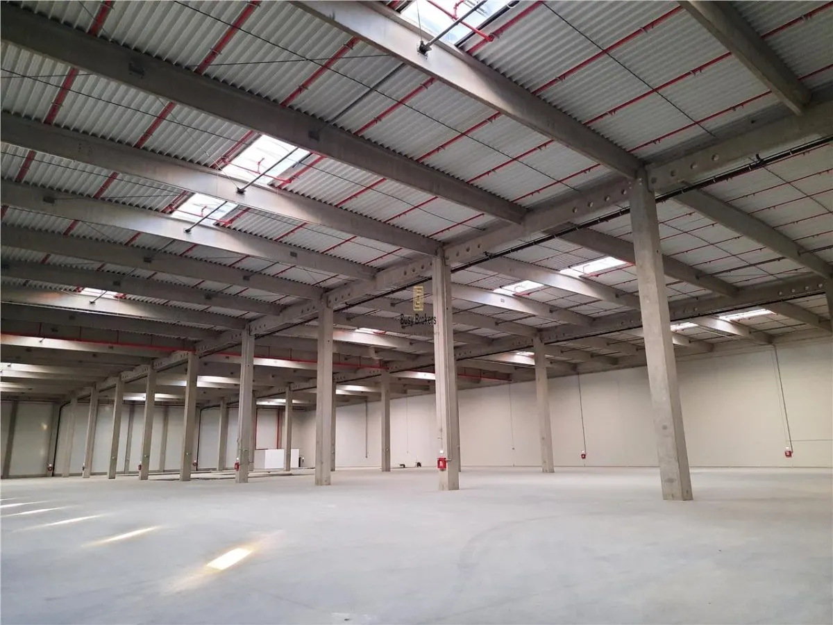 Spatii Industriale - 4500 mp - Logistica - Productie - Depozitare - Distributie - foto 7