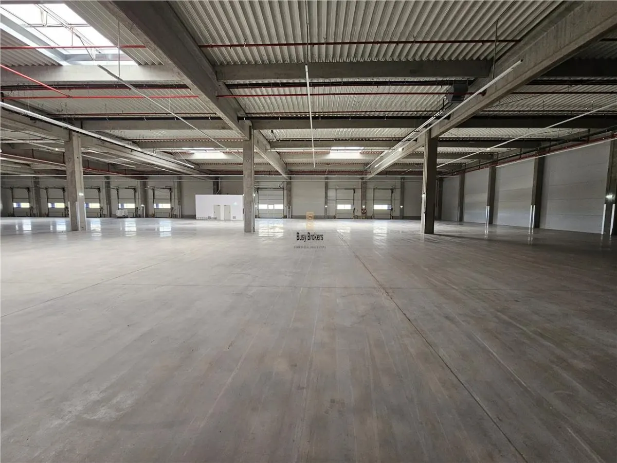 Spatii Industriale - 9500 mp - Logistica - Productie - Depozitare - Distributie - foto 1