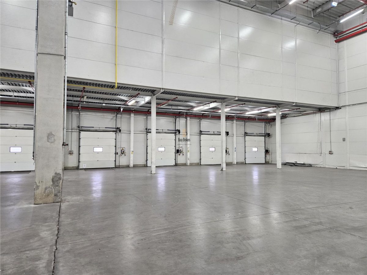 Spatii Industriale - 9500 mp - Logistica - Productie - Depozitare - Distributie - foto 14