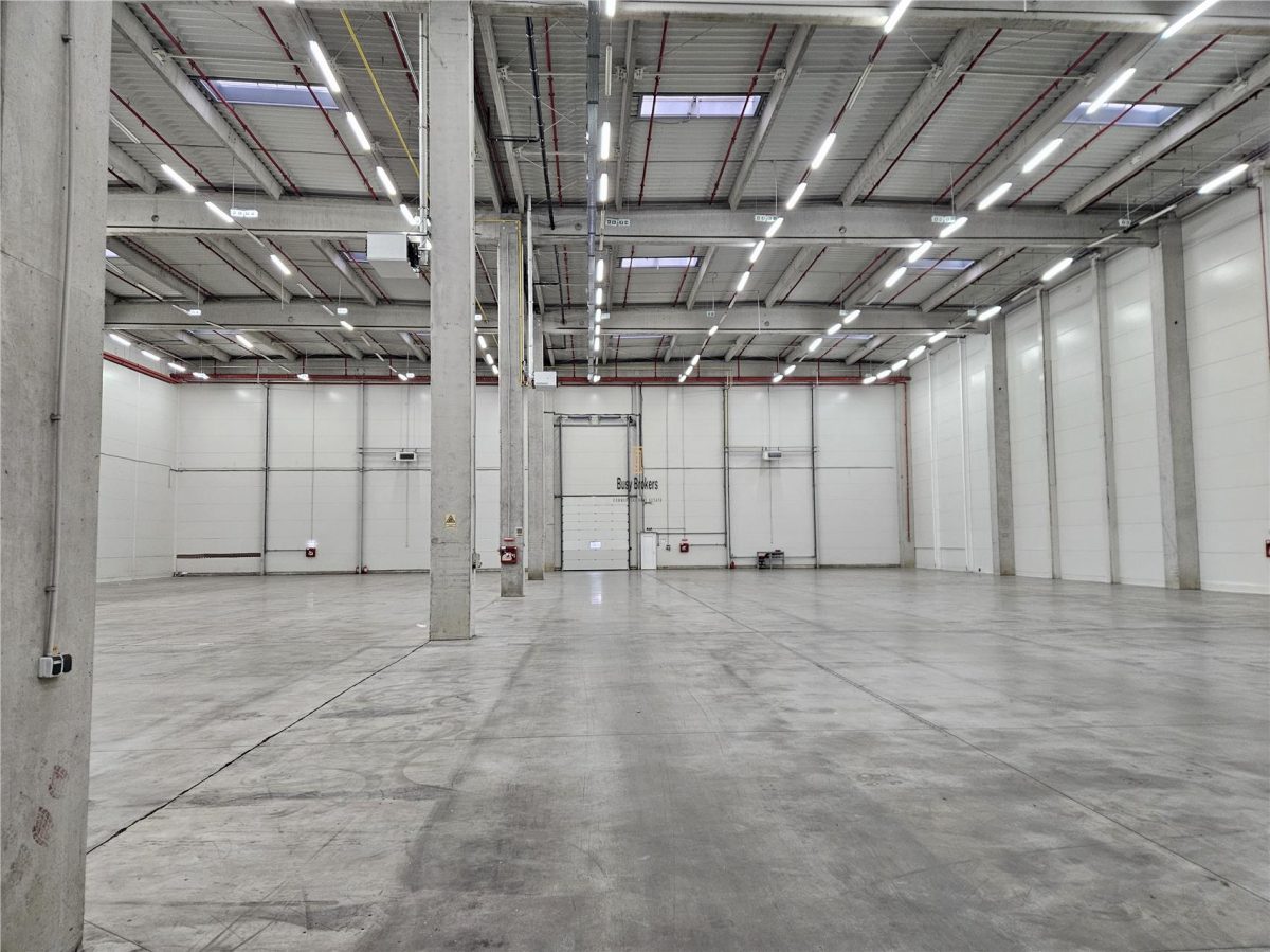 Spatii Industriale - 9500 mp - Logistica - Productie - Depozitare - Distributie - foto 16